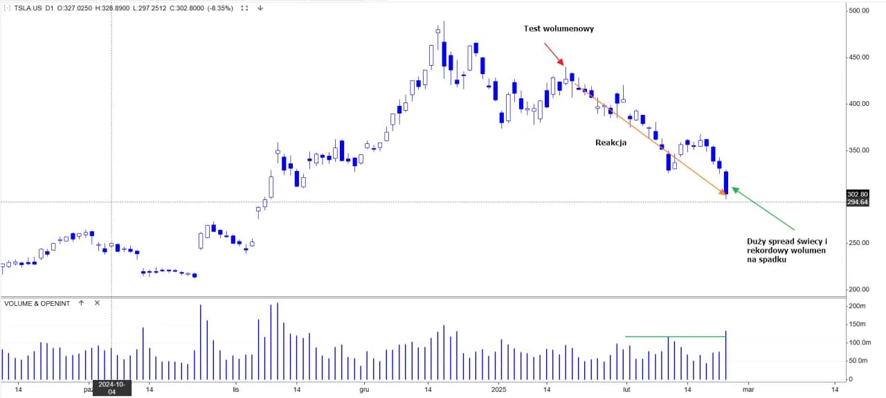 Ile kosztuje akcja Tesli? Sprawdź aktualną cenę i trendy rynku